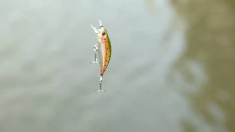 Artificial lures technique