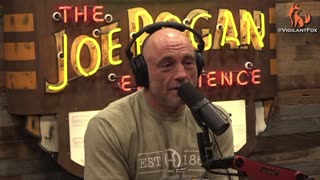 Joe Rogan: Trump's UFC Appearance at MSG Proves He Is More Popular Than Ever