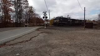 Service dog watches train!