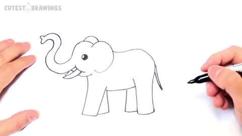How to draw a Elephant Step by Step - Elephant Drawing Lesson
