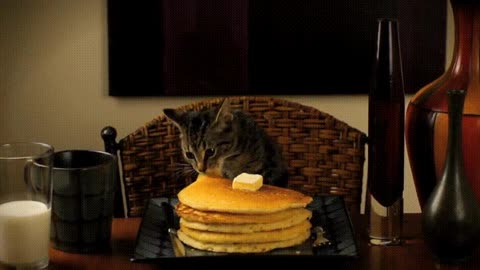 It's my 7th cake day and I don't know what you guys like, so here's a kitten stealing a pancake.
