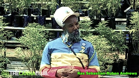 The Heart of Rastafari - A Conversation with Ras Ruben