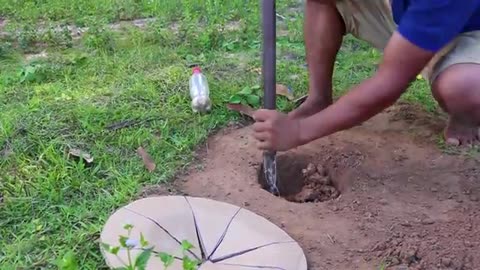 Creative Building Unique Underground Quail Bird Trap Using Cardboard - Easy quail bird trap