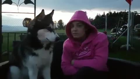 Husky flawlessly sings French song with owner