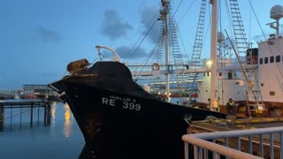 Video 1 - Activists occupy icelandic fin-whale whalingships Hvalur 8 and 9