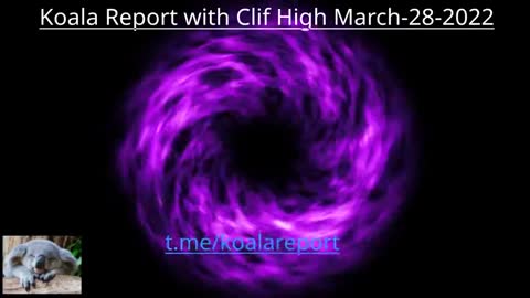 CLIF HIGH UPDATE: KOALA REPORT MARCH 28TH