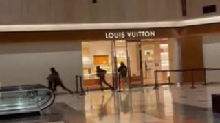 THUGS Rob Chicago Louis Vuitton With NO Repercussions