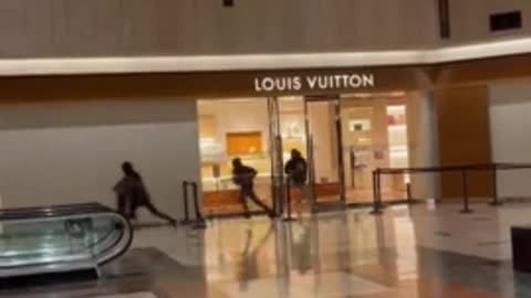 THUGS Rob Chicago Louis Vuitton With NO Repercussions