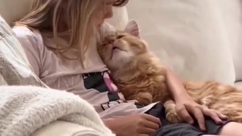"Unconditional Love: Adorable Cats Showering Affection on Their Beloved Owners"