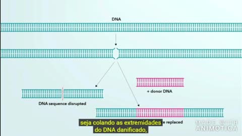CRISPR - Tecnologia para edição do DNA HUMANO