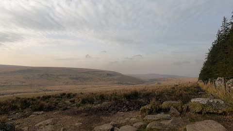 Fernworthy forest overlooking Dartmoor moors.