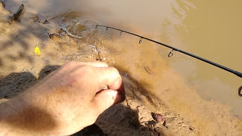 pescaria de MANDI no Rio Jatobá foi pra vida!!