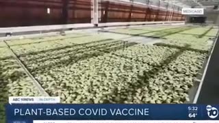 FOOD TO VACCINATE PEOPLE/ANIMALS