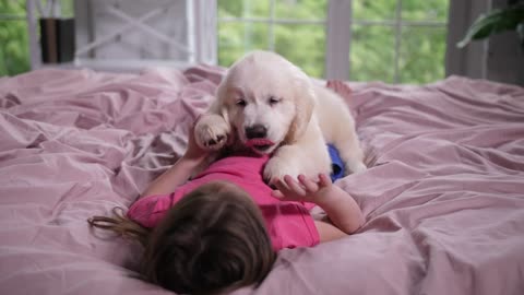 Young girl playing with a puppy