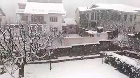 Snowfall in Kashmir , World's Most Beautiful Place