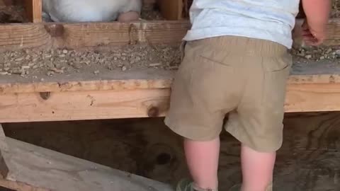 collecting eggs