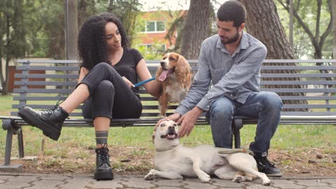 Couple with dogs resting on park bench