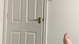 Clever Cat Can Open Door