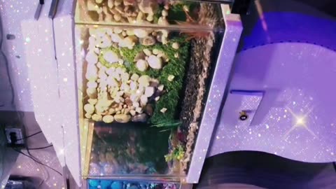 Mr.fish aquarium shop