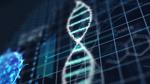 DNA chromosome