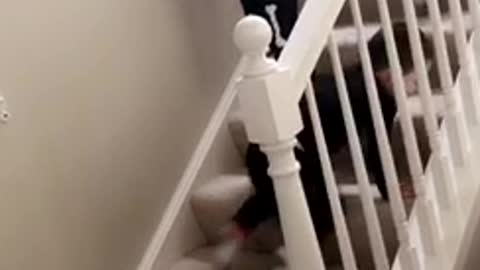 Kids dressed as skeletons down stairs