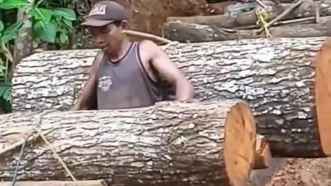 Wood worker