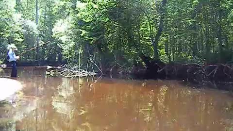 Fly Fishing A Florida Creek