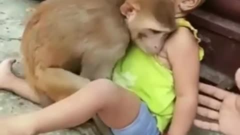 Monkey take baby girl on his lap But♥️♥️♥️😁😁😁😁