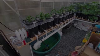 Overview of Harbor Freight Greenhouse & Hydroponics