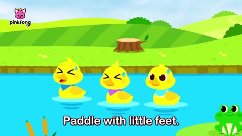 Quack, Quack, Little Baby Ducks - Kids Nursery Rhyme - Pinkfong Ninimo