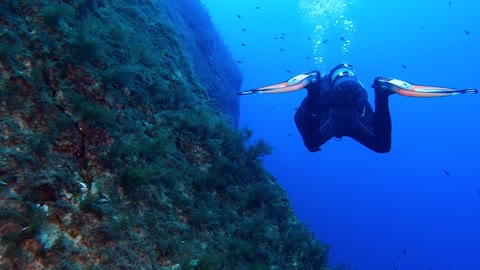 underwater scene