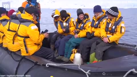 Penguin escapes killer whales by jumping in a boat in Antarctica