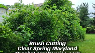 Brush Cutting Clear Spring Maryland Landscape Contractor