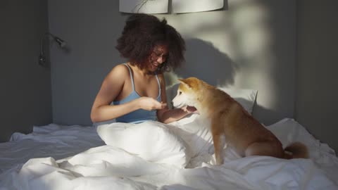 watch this amazing intimacy of dog on the bed