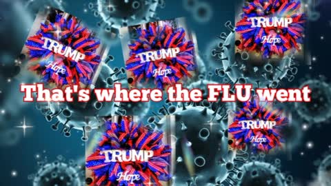 The Flu?