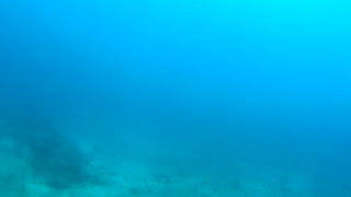 Cancun Mexico Carribean Scuba Diving Part 7