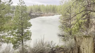 Forest Hiking in the Wet Rain – Volcanic Lava Island + Wild Deschutes River – Central Oregon – 4K