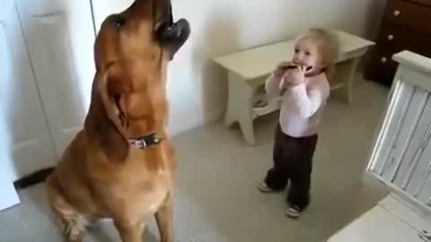 singing dog