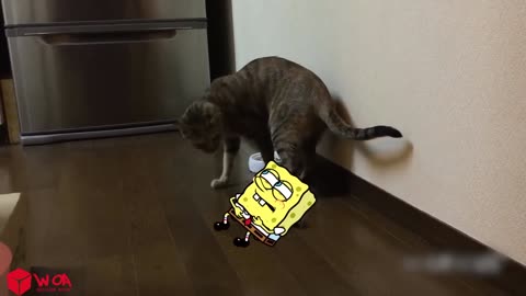 How to Punish Naughty Cat vs Spongebob 😾🐶 Spongebob in Real Life ! Funniest Cats And Dogs Videos