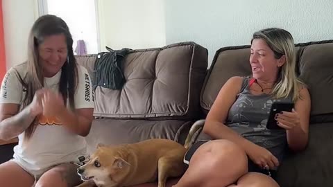 Dog Acts As Girlfriend's Security