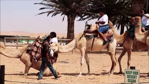 Travelling in Namibia: Camel-back riding in Swakopmund. A MUST-DO!!