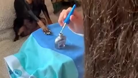 Dog painting nails