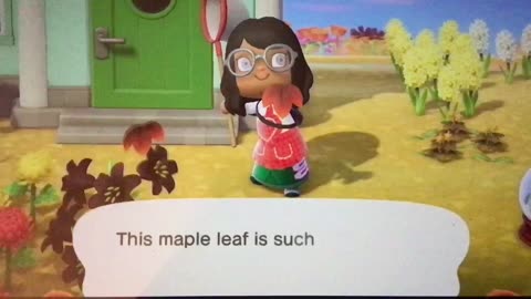 Animal Crossing I Killed The Leaf!