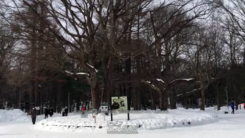 艾文愛旅行 |【日本】日本札幌景點 - 円山公園