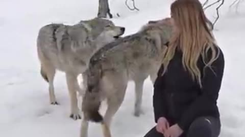 GIRL_HOWLS_WITH_GIANT_WOLVES(360p