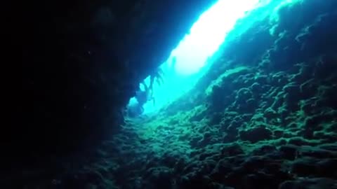 Mergulho Caverna Subaquática Vida Marinha Pessoas