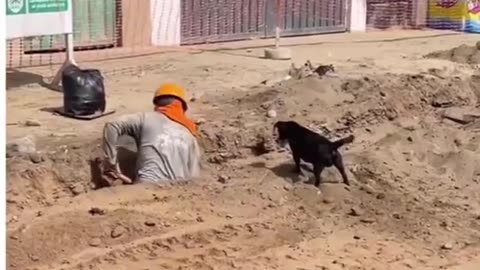Bring the dog to work day pays off for ditchdigger