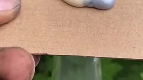 Satisfying Video With Relaxing