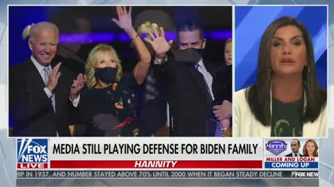 Loesch: It’s ‘Biden Privilege’ To Lie About Drugs in Your Gun Form and Still Come out with a Book