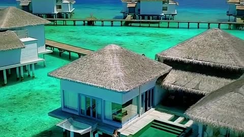 Maldives Resort #travel #viral #shorts